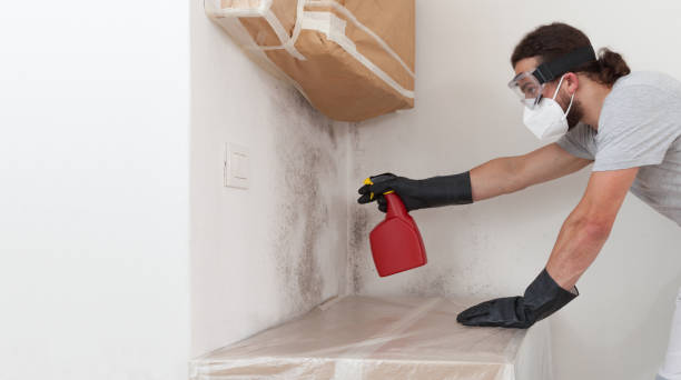 Professional Mold Removal technician working in Garland, NC