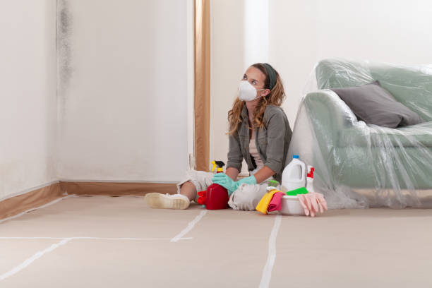 Reliable Mold Removal contractor in Garland, NC by Car Mold Remediation
