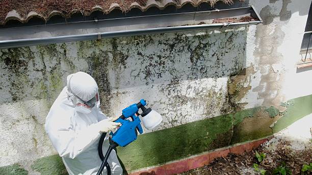 Top rated local Mold Removal specialists in Garland, NC